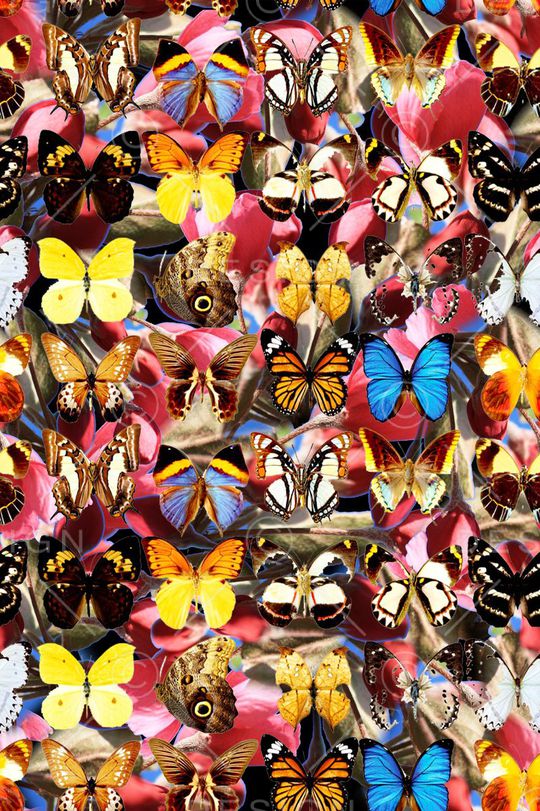 动物花卉印花华亿平台图片