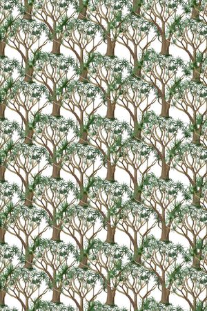 观叶植物印花华亿平台图片