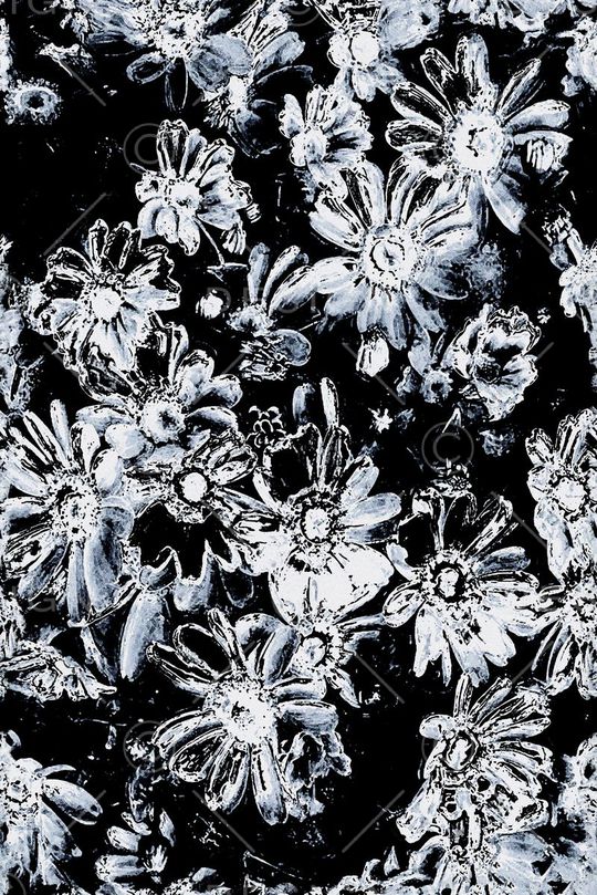 雏菊印花华亿平台图片