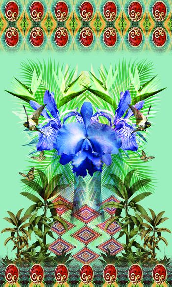 401909-定位鸭舌兰