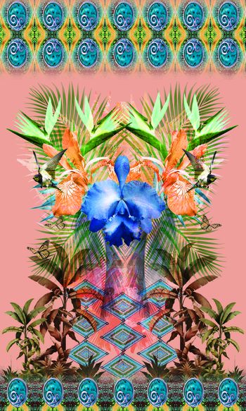 401910-定位鸭舌兰