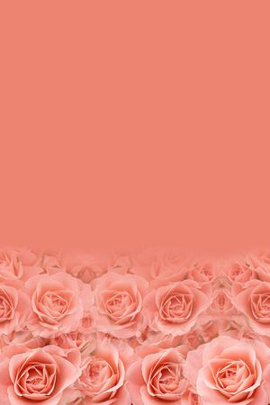 潮流印花华亿平台图片