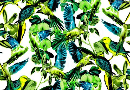 热带印花华亿平台图片