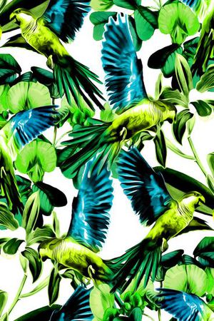 热带印花华亿平台图片