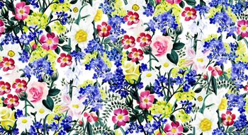 402240-手绘花卉 此为手绘，无分层，介意慎