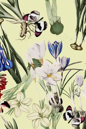 GUCCI 2015印花华亿平台图片