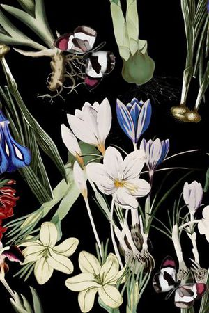 GUCCI 2015印花华亿平台图片