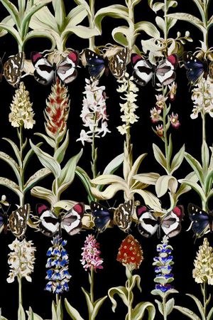 GUCCI 2015印花华亿平台图片