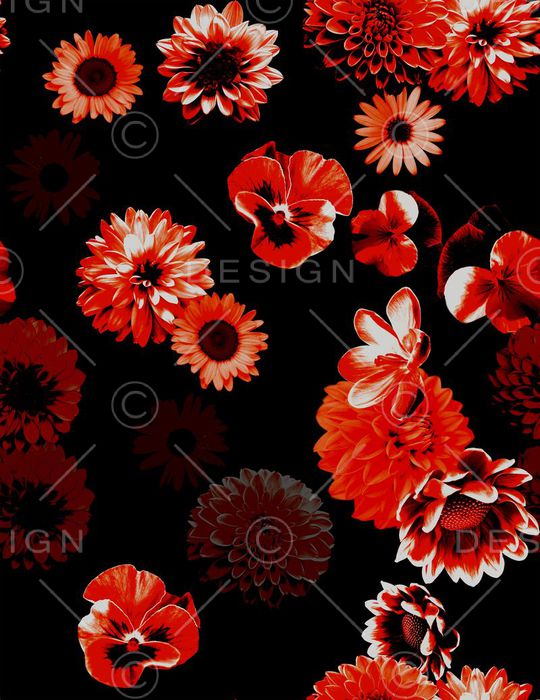 大丽花印花华亿平台图片