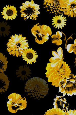 大丽花印花华亿平台图片