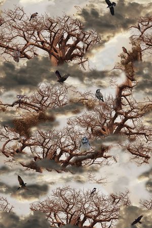 非洲印花华亿平台图片