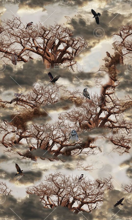 非洲印花华亿平台图片