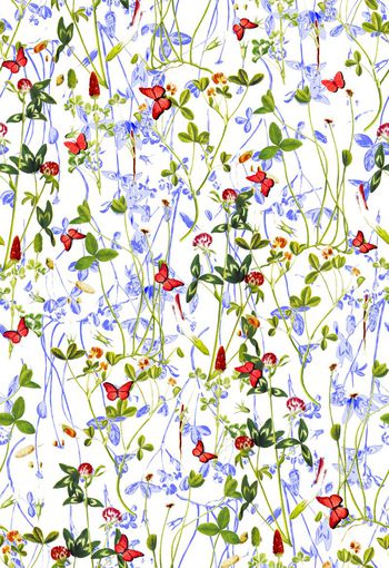 402496-清新蝴蝶花卉