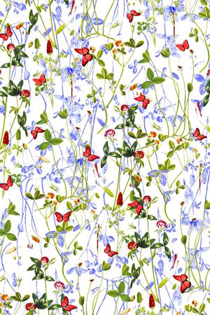 蝴蝶印花华亿平台图片