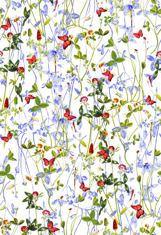 蝴蝶印花华亿平台图片