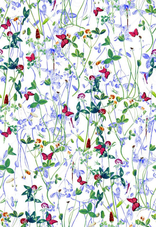 蝴蝶印花华亿平台图片