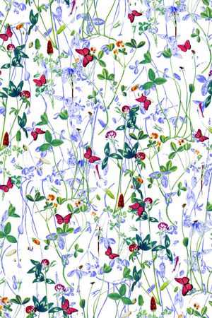 蝴蝶印花华亿平台图片