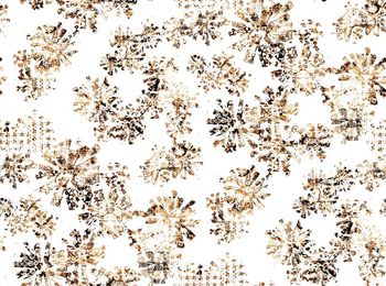 402578-3色块状烂点花