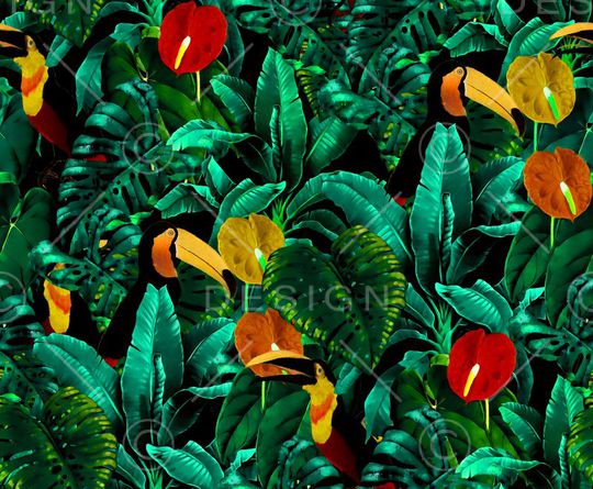 鹦鹉印花华亿平台图片