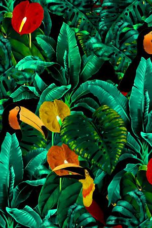 鹦鹉印花华亿平台图片