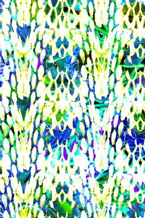 蛇纹印花华亿平台图片