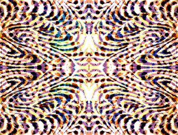 402918-虎纹 豹纹