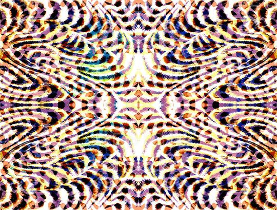 虎纹印花华亿平台图片