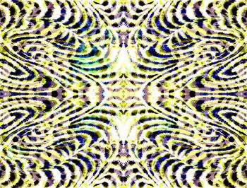 402919-虎纹 豹纹