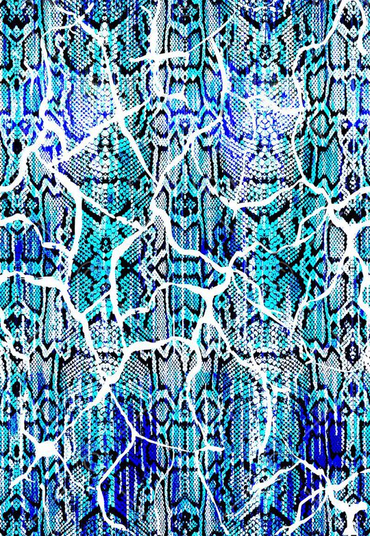 蛇纹印花华亿平台图片