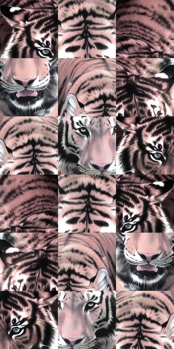 403021-2015 大牌走秀拼贴动物