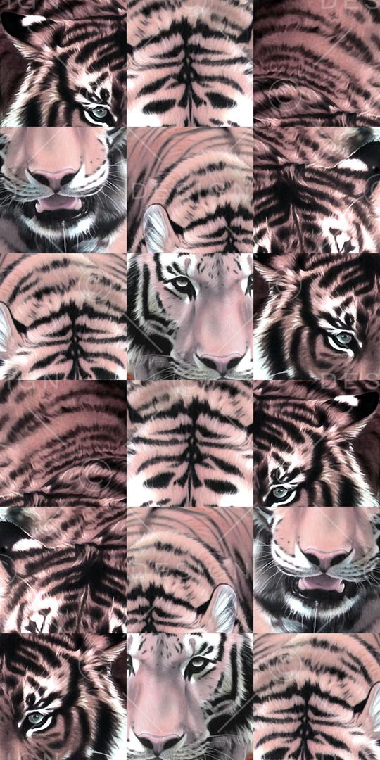 2015 大牌秀场款印花华亿平台图片