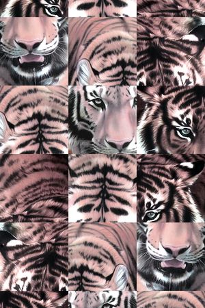 2015 大牌秀场款印花华亿平台图片