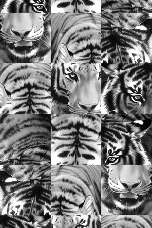 2015 大牌秀场款印花华亿平台图片