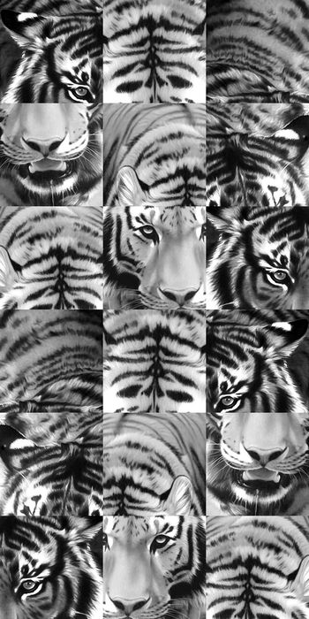 403022-2015 大牌走秀拼贴动物