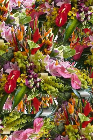 潮流印花华亿平台图片