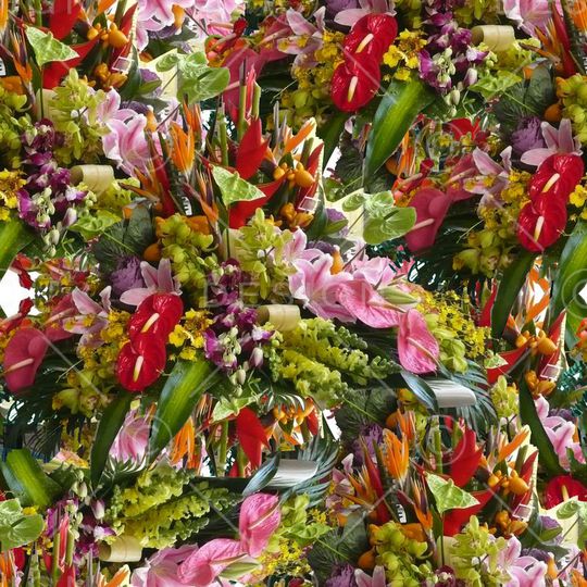 潮流印花华亿平台图片