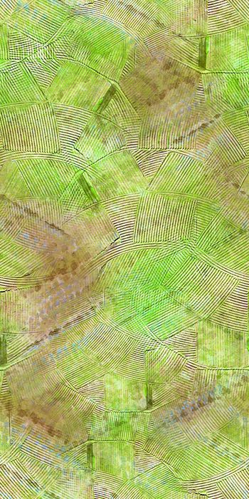 403109-抽象 条纹 机理 波点 斜纹 服装