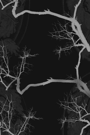 个性印花华亿平台图片