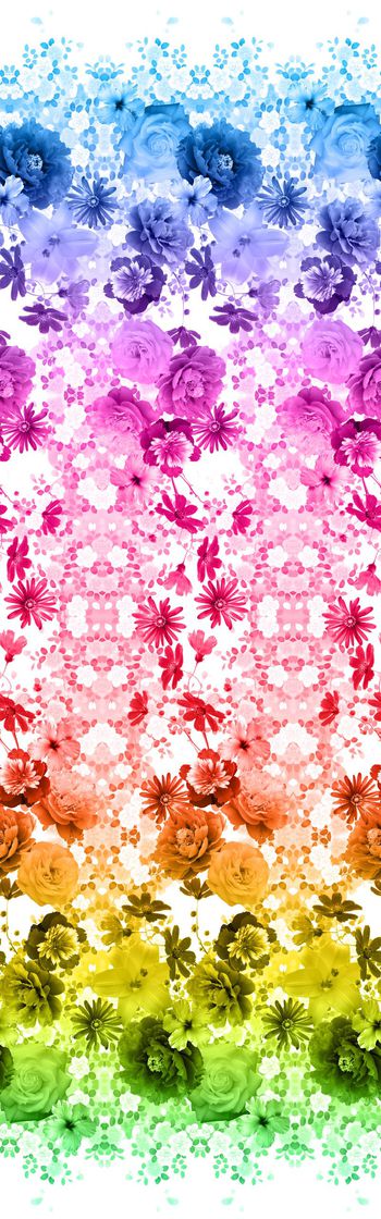 403214-花藤花卉组合渐变双边定位华亿平台