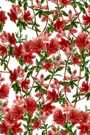 复古印花华亿平台图片