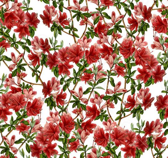 复古印花华亿平台图片