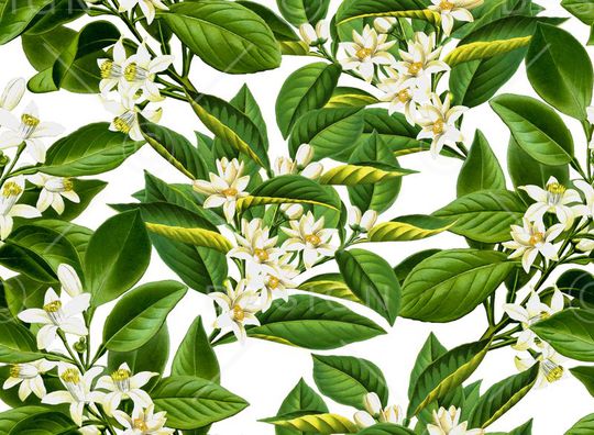 复古印花华亿平台图片