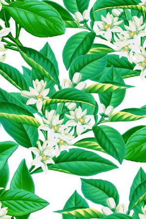 复古印花华亿平台图片