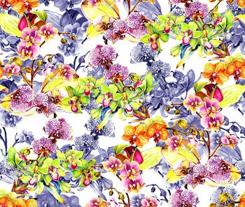 403227-兰花 源文件已损坏，无分层，介意慎