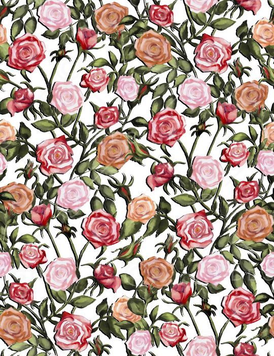 玫瑰印花华亿平台图片