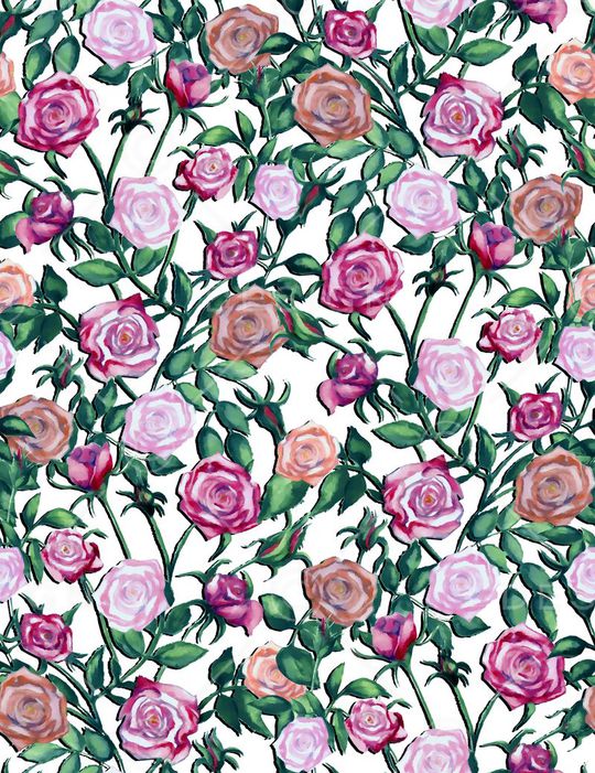 玫瑰印花华亿平台图片