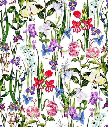 403249-复古热带花卉