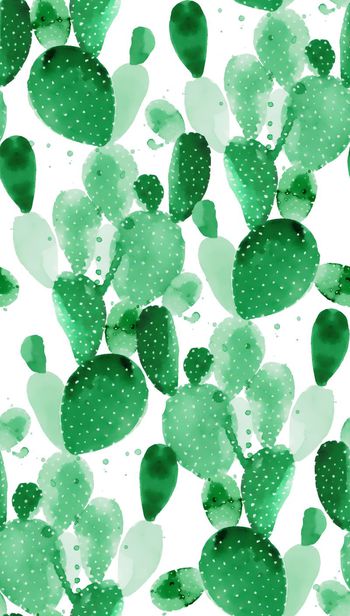 403264-手绘仙人掌  此为手绘，无分层，介