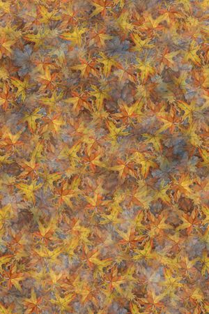 面料印花华亿平台图片