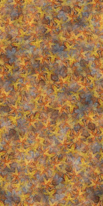 403303-面料 水彩 枫叶 叶子 服装